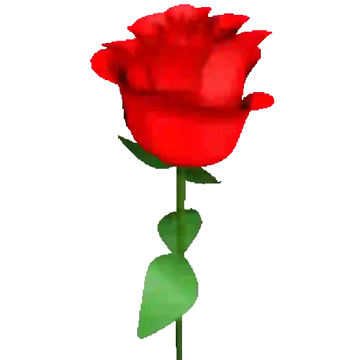 Spinning Rose
